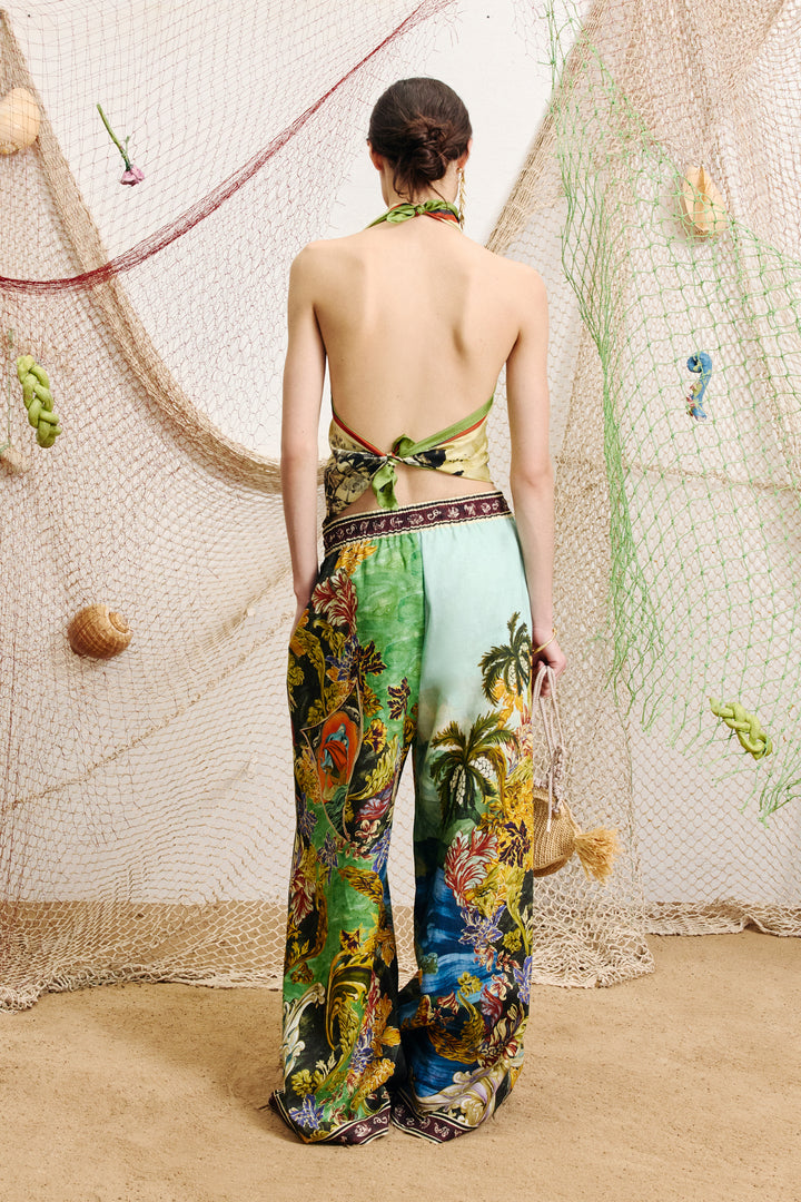 Alemais Lucena Pant